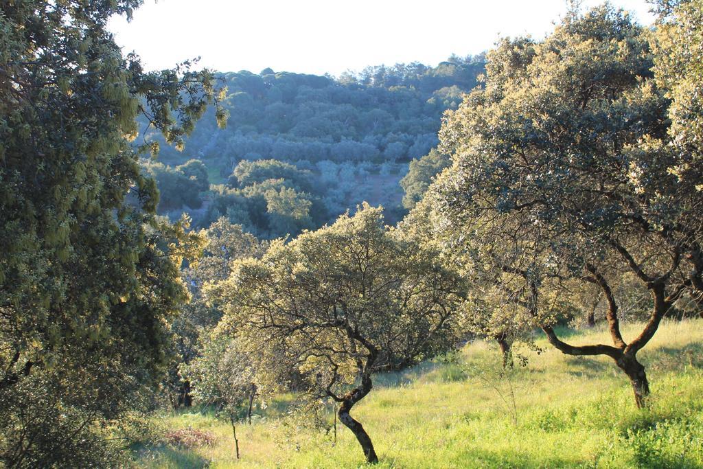 Cabana El Mirador Pedroso de Acim Eksteriør billede